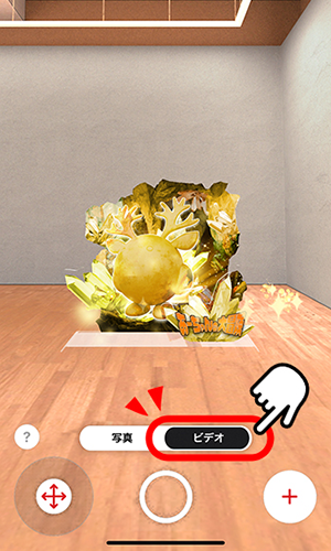 IMG_2256.PNG