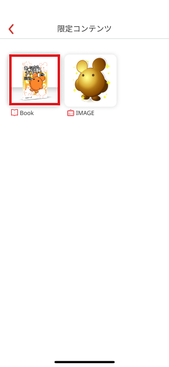 app_limited_book_epub_6.jpg